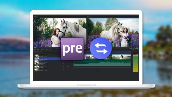 Eine Video-Splitscreen-Produktionssoftware, die Adobe Premiere Elements ersetzen kann