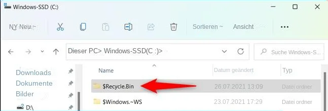 versteckte Papierkorbordner in Windows