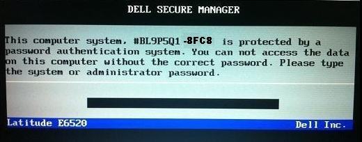 DELL BIOS-Kennwort