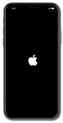 Apple-Logo auf dem iPhone