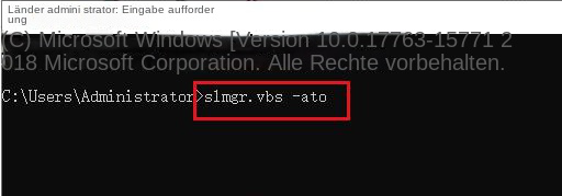 Geben Sie den Befehl slmgr.vbs ein