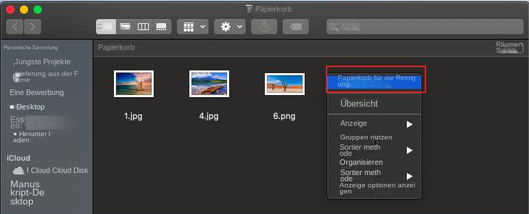 den Mülleimer ausleeren