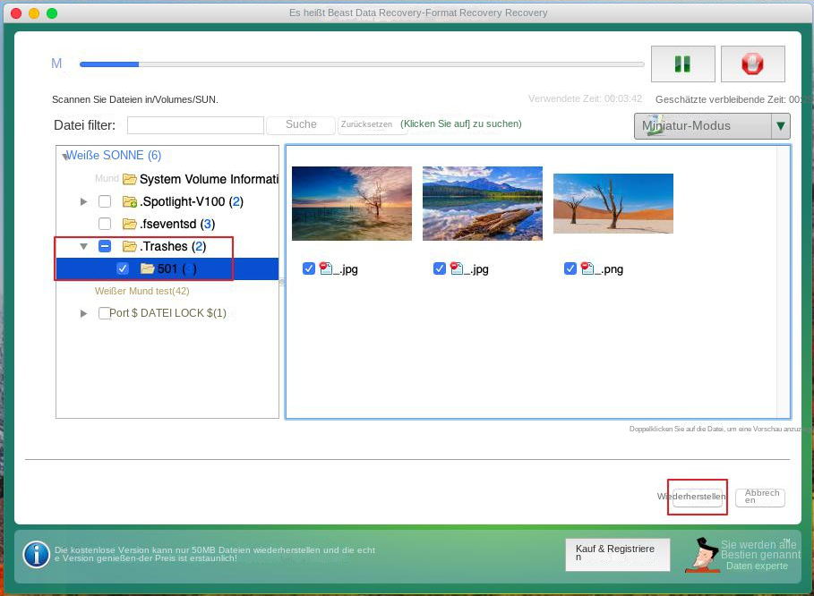 Formatieren Sie die Ergebnisse des Wiederherstellungsscans für Mac