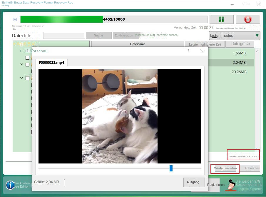 Wiederherstellungsvorschaudatei formatieren Klicken Sie auf „Wiederherstellen“.
