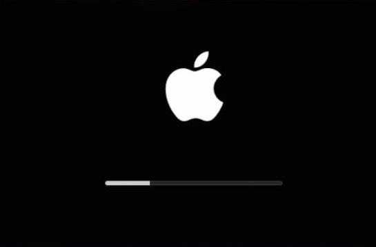 Das Apple-Logo erscheint auf dem Bildschirm