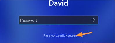 Klicken Sie auf den Link "Kennwort zurücksetzen" auf dem Anmeldebildschirm von Windows 11