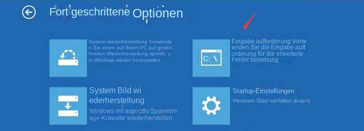 Windows 11 Problembehandlung Erweiterte Optionen