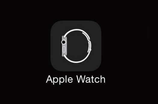 Einstieg in die Apple Watch auf dem iphone