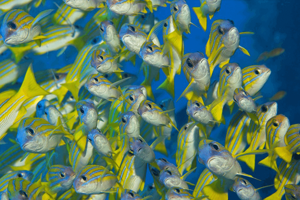 wasserdichtes iphone