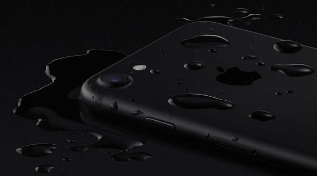 wie man mit einem wasserdichten iphone unterwasserfotos macht