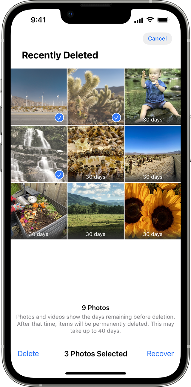 Kürzlich gelöschtes iPhone