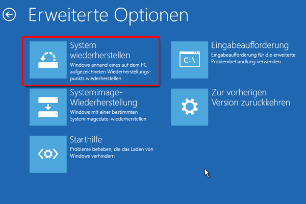 Problembehandlung Erweiterte Optionen System wiederherstellen