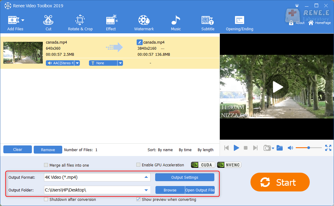 Ausgabeformat von Renee Video Editor Pro