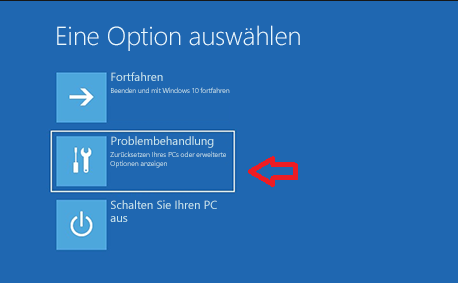 Eine Option auswählen