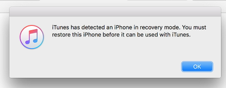 iTunes hat ein iPhone im Wiederherstellungsmodus erkannt