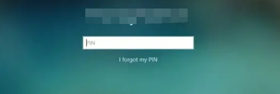PIN vergessen