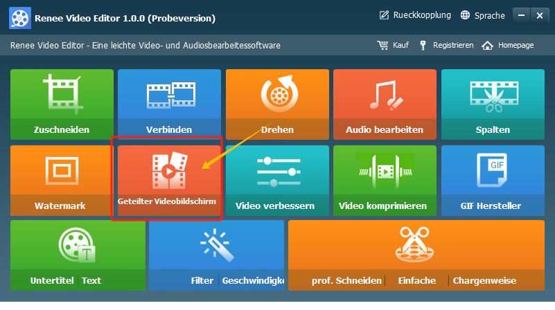 in renee video editor in split einsteigen