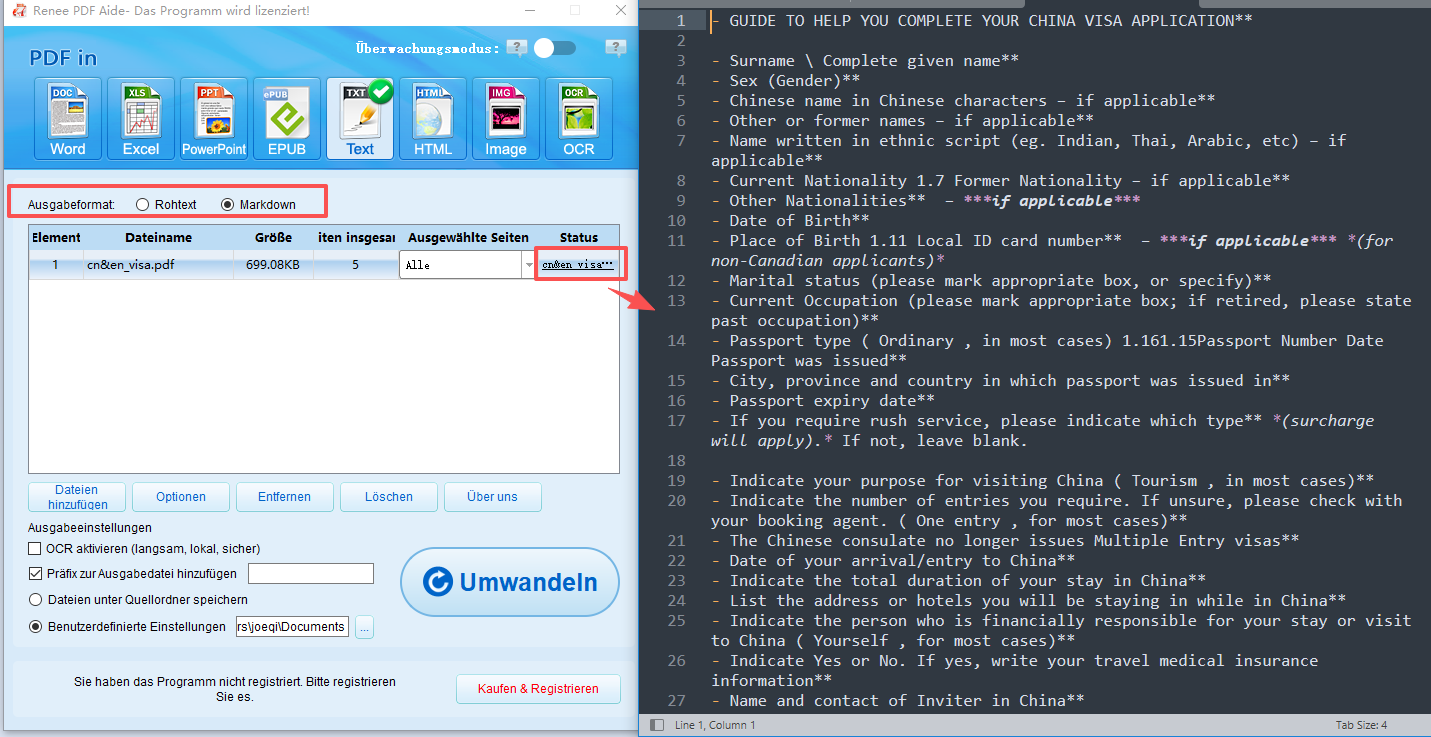 PDF in TXT oder Markdown umwandeln